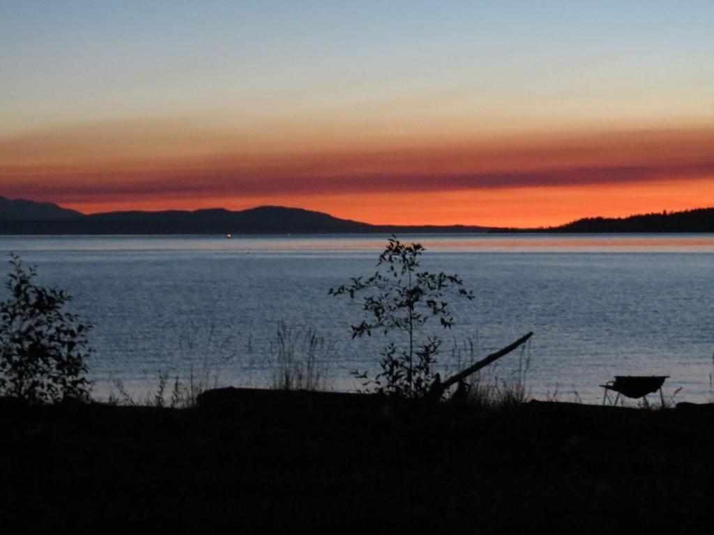 Maxwelton Beach Sunsets! Kayaks & Paddleboards! 1 Min Walk To The Water! Clinton Kültér fotó